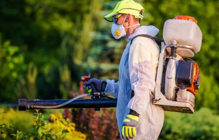 Profesyonel Kene İlaçlama