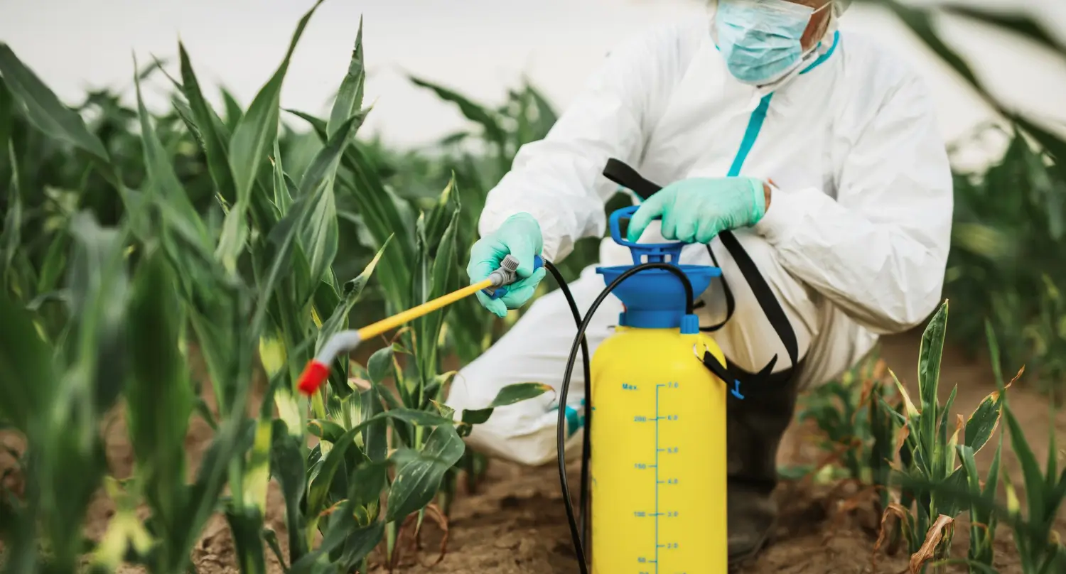 Profesyonel Bahçe İlaçlama Hizmeti 2 Profesyonel Bahçe İlaçlama ve Haşere Kontrol Hizmeti