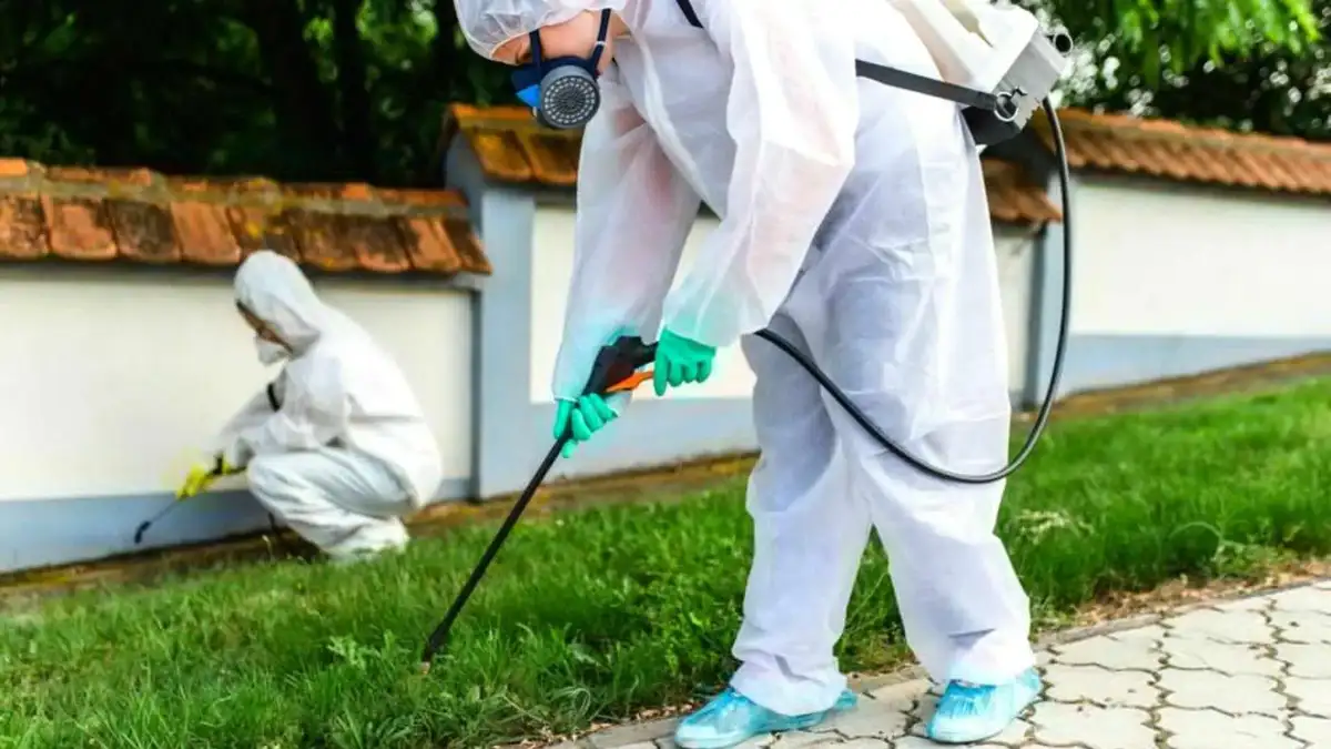 Profesyonel Bahçe İlaçlama Hizmeti 3 Bahçe İlaçlama Fiyatları