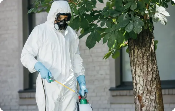 İstanbul İlaçlama Hizmeti 2 İstanbul’da Profesyonel İlaçlama Hizmeti: Ofis, Fabrika, İşyeri, Okul ve Otel Uygulamaları