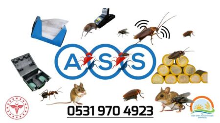 İlaçlama Grupları