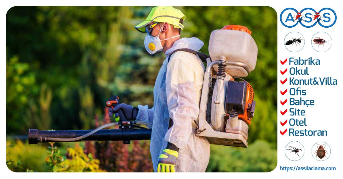 Profesyonel Bahçe İlaçlama Hizmeti