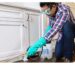 Profesyonel Konut İlaçlama Hizmeti