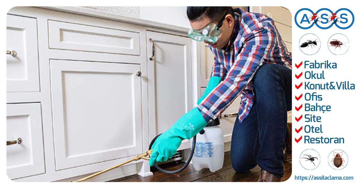 Profesyonel Konut İlaçlama Hizmeti