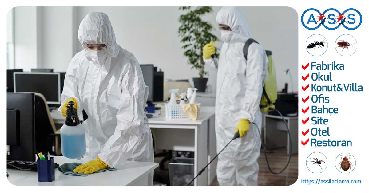 Profesyonel Ofis Haşere Kontrolü ve İlaçlama Hizmeti