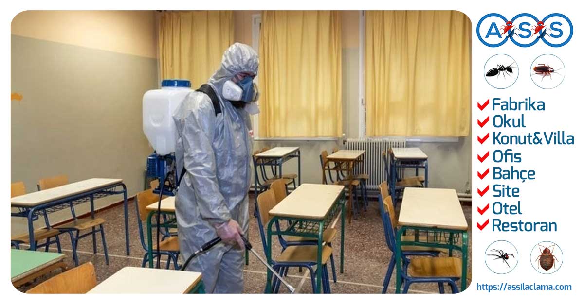 Profesyonel Okul İlaçlama Hizmeti