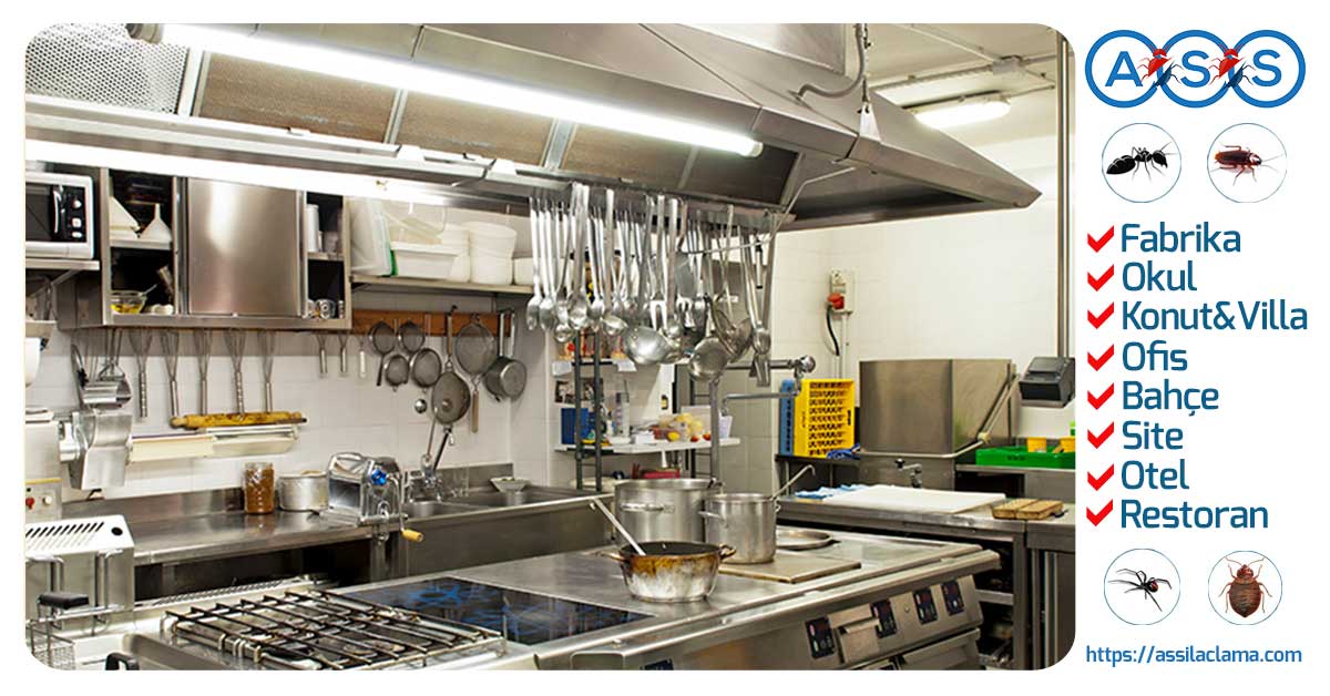 Profesyonel Restoran İlaçlama Hizmeti