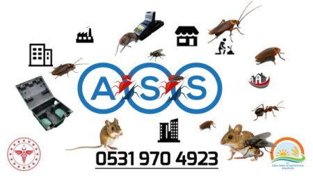 İlaçlama Alanları