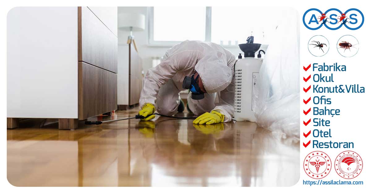 En Etkili İlaçlama Yöntemleri Nelerdir?