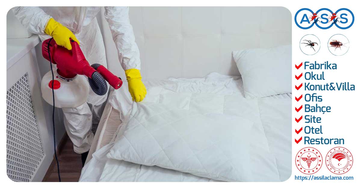 İstanbul Bit İlaçlama – Garantili Bit Temizliği