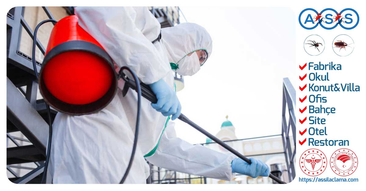 İstanbul Böcek İlaçlama