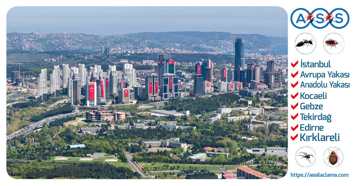 Avrupa Yakası İlaçlama Hizmeti