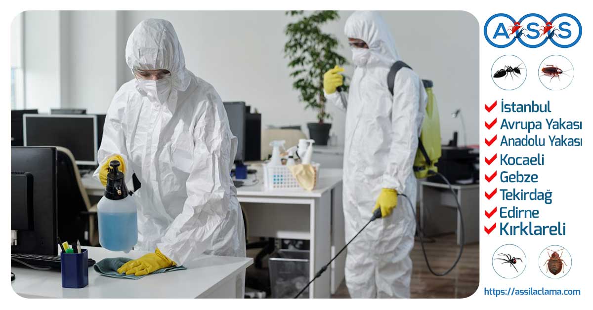 Anadolu Yakası İlaçlama Hizmeti