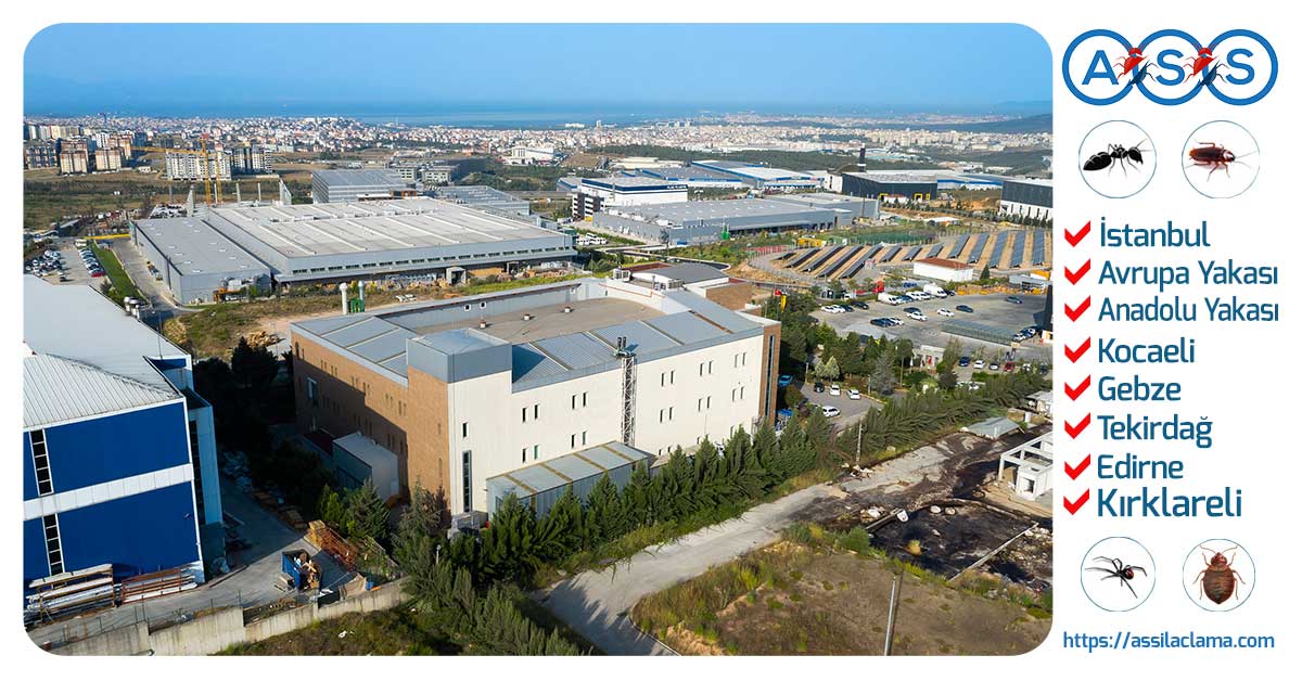 Gebze İlaçlama Hizmeti