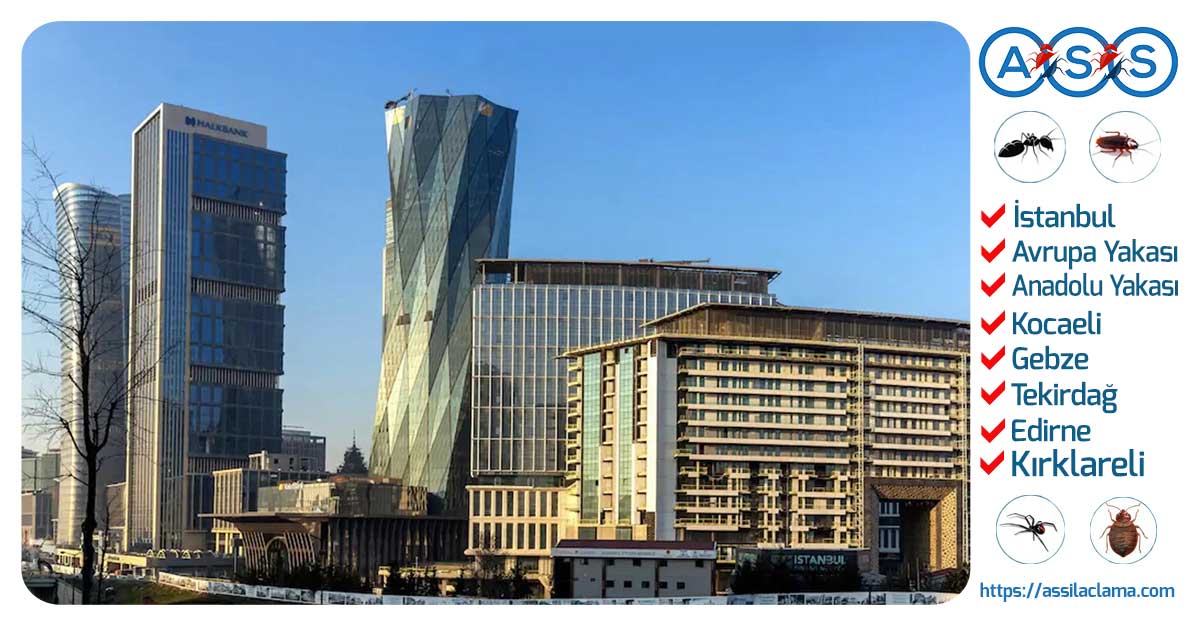 İstanbul İlaçlama Hizmeti