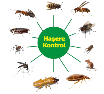 ASS İstanbul İlaçlama