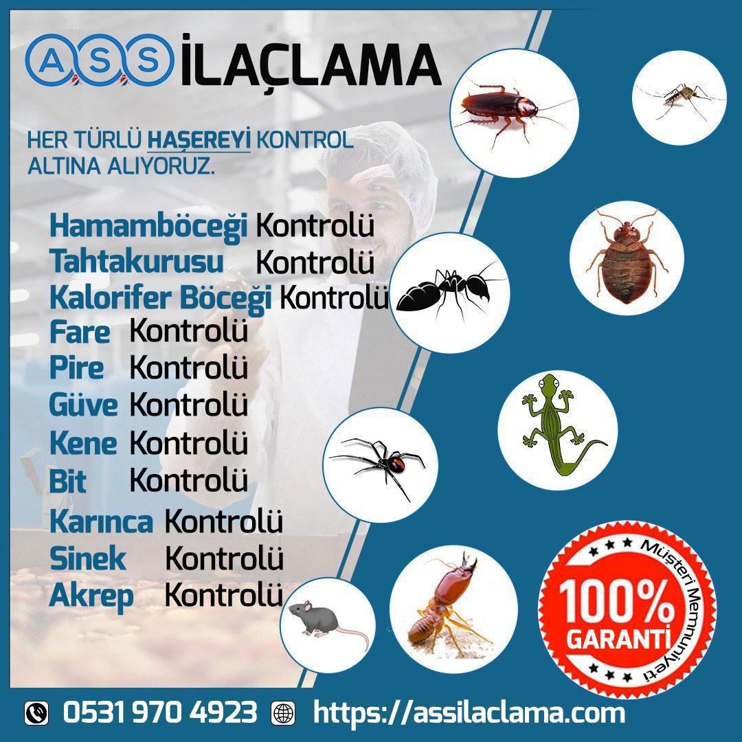 ASS İstanbul İlaçlama Hizmetleri
