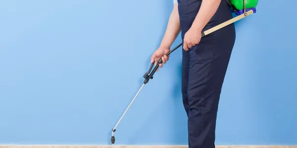 İstanbul'da En Etkili Pire Yok Etme Yöntemleri