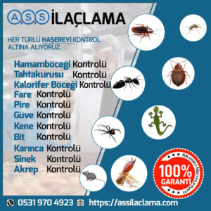 İstanbul Akrep İlaçlama 5 Kurumsal Firmalar İçin Periyodik Haşere Kontrolü