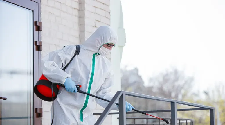 Fabrika ve Otellerde Profesyonel Pest Kontrol Çözümleri