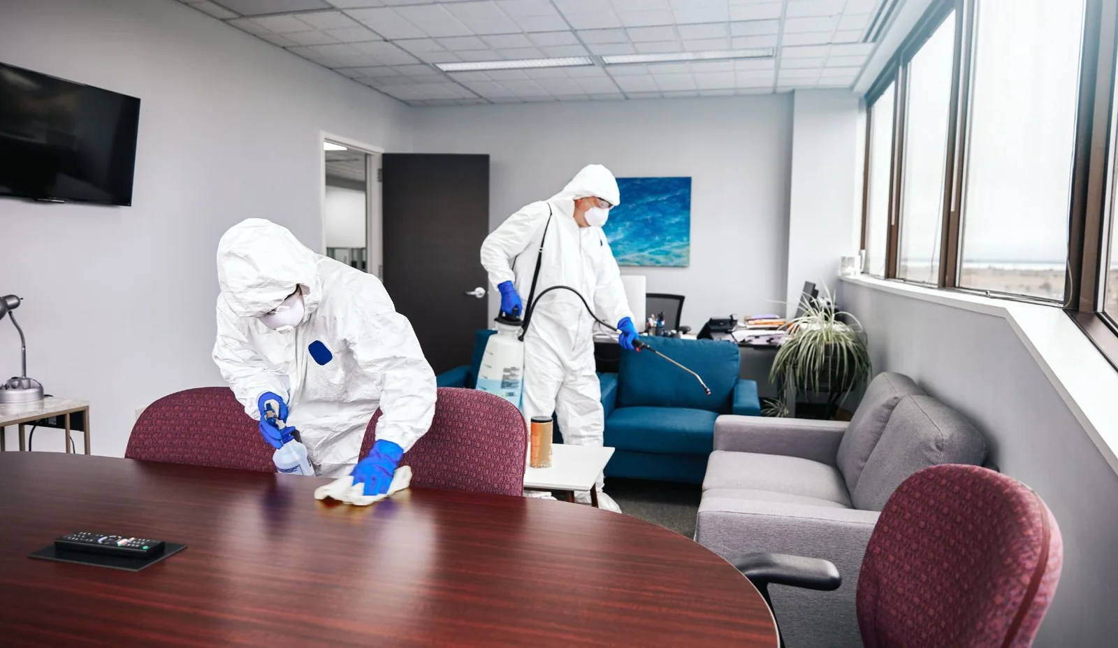 Profesyonel Ofis İlaçlama & Haşere Kontrolü Hizmeti 3 Profesyonel Ofis İlaçlama Hizmeti