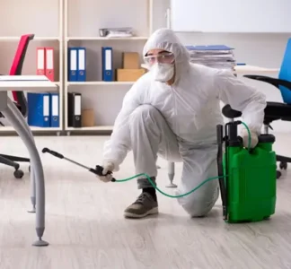 Pire Yumurtalarına Karşı Özel Önlemler