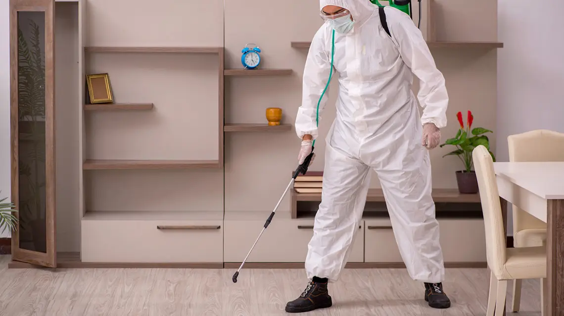 Profesyonel Ofis İlaçlama & Haşere Kontrolü Hizmeti 2 Profesyonel Ofis İlaçlama & Haşere Kontrolü Hizmeti