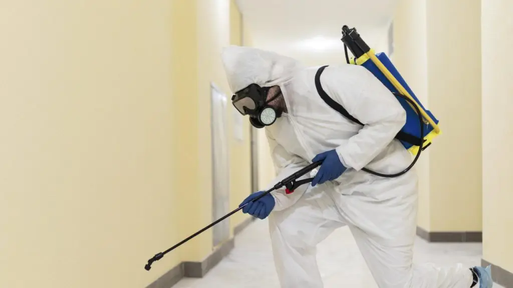 İstanbul Anadolu Yakası’nda Otel İlaçlama Hizmeti