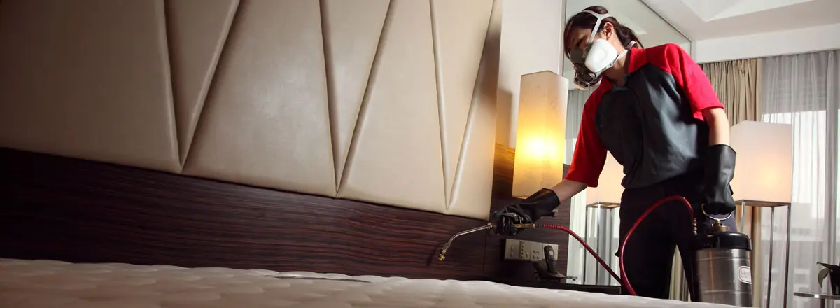 Profesyonel Otel İlaçlama Hizmeti 4 Otellerde Haşere Problemleri