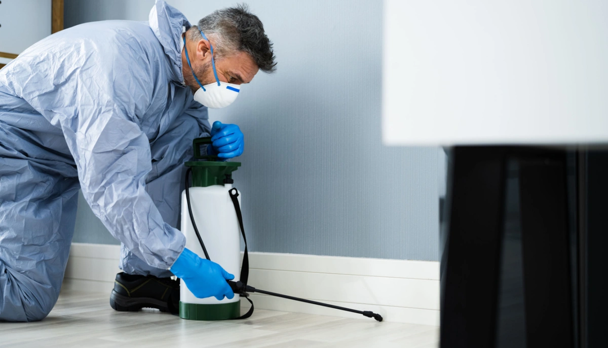 Profesyonel Site İlaçlama Hizmeti 2 Profesyonel Site İlaçlama Hizmeti