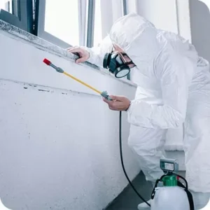 Ofis ve Konutlarda Kalorifer Böceği Sorunu