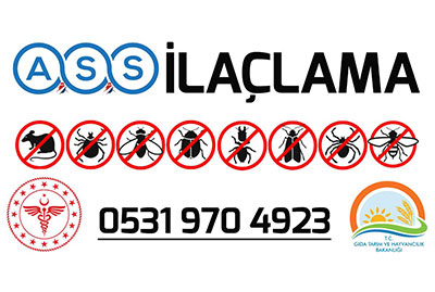 İstanbul Böcek İlaçlama 5 Böcek İlaçlama Hizmetleri