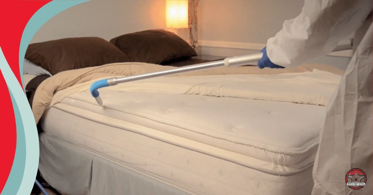 Profesyonel Tahtakurusu ile Mücadele